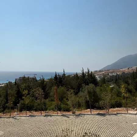 Kaltra Drymades * Gjilek