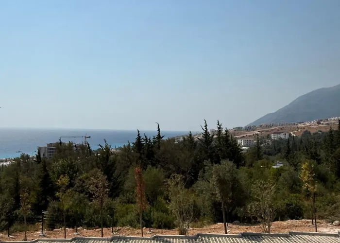 Kaltra Drymades * Gjilek